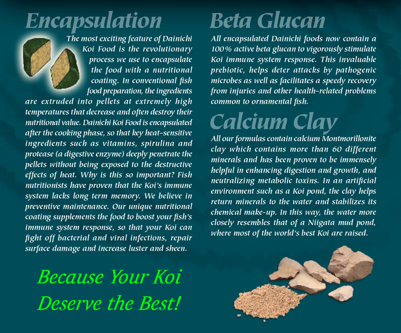 Image showcasing Koi Food - Dainichi Premium - Floating Pellet - Dainichi Fish Food