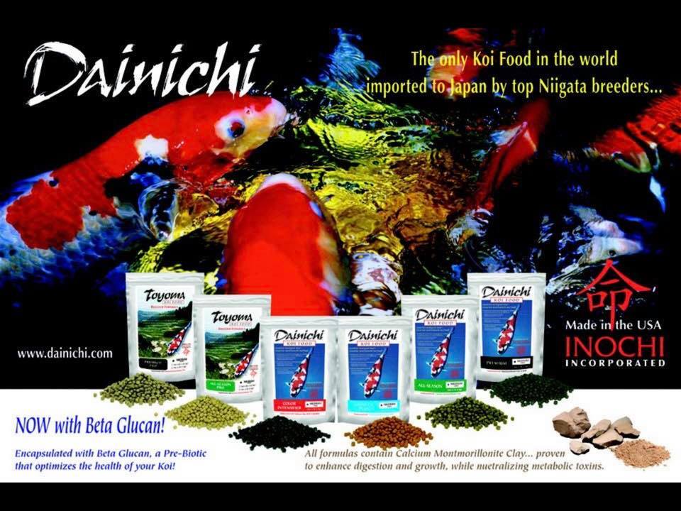 Dainichi premium koi food best sale